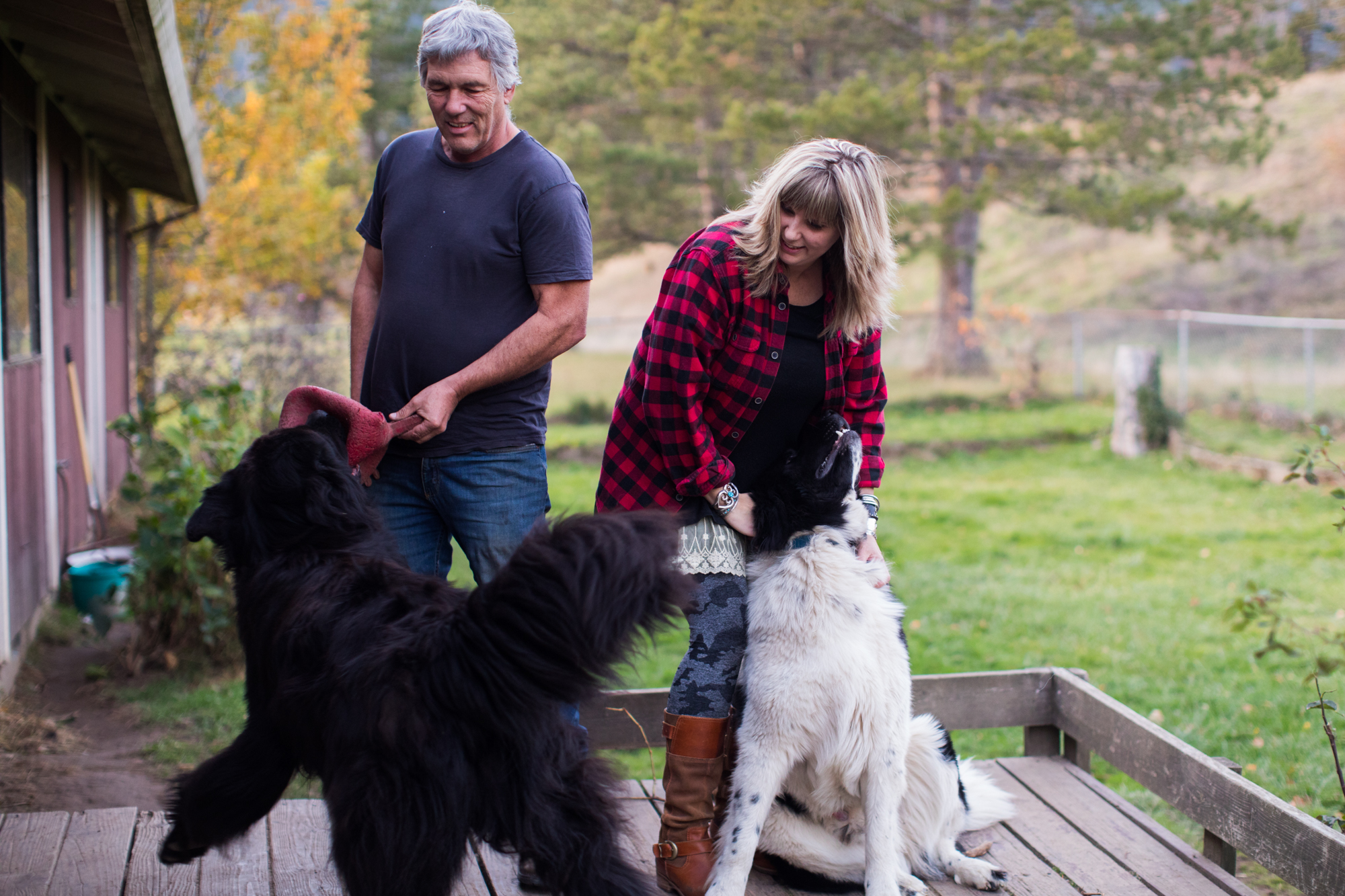 Othanks family plays with their dogs 