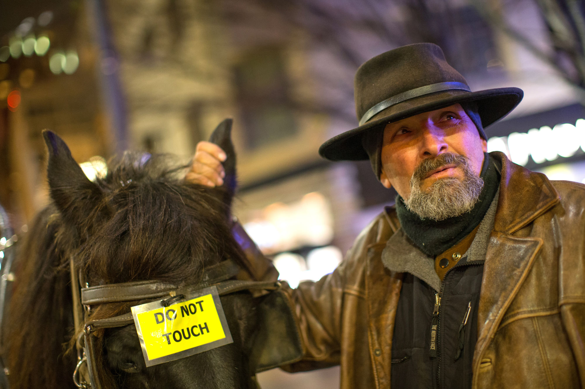 Steve Beckmann, owner and coachman of Sealth Horse Carriage, with his horse Amos. Beckmann rubs the ears of his horse to calm him between rides. © Karen Ducey for Crosscut