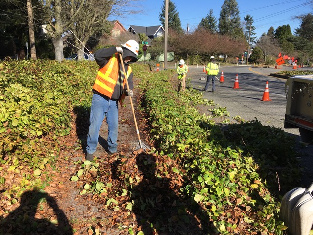 A work crew clears a Seattle sidewalk (Photo by Douglas MacDonald for Crosscut)