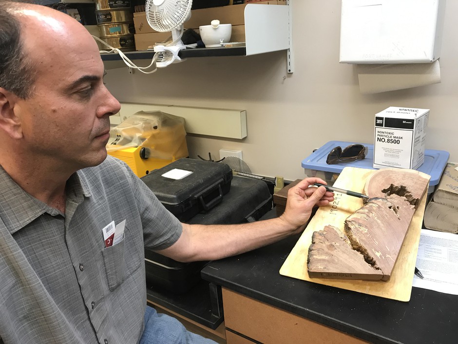 John Bailey in his lab at Oregon State University. Jeff Mapes/OPB