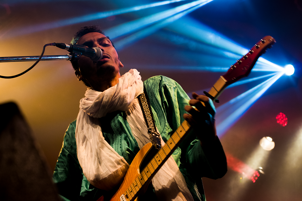 Bombino by Lara Cocciolo