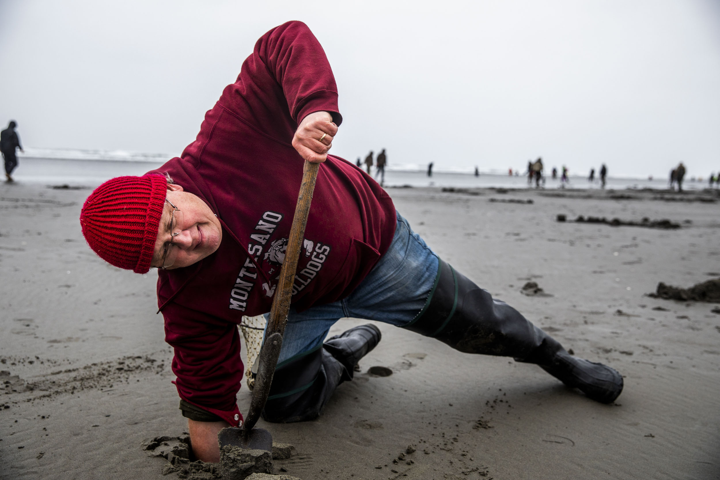 WDFW Coastal Shellfish Manager Dan Ayres of Montesano reaches in the sand for a razor clam.