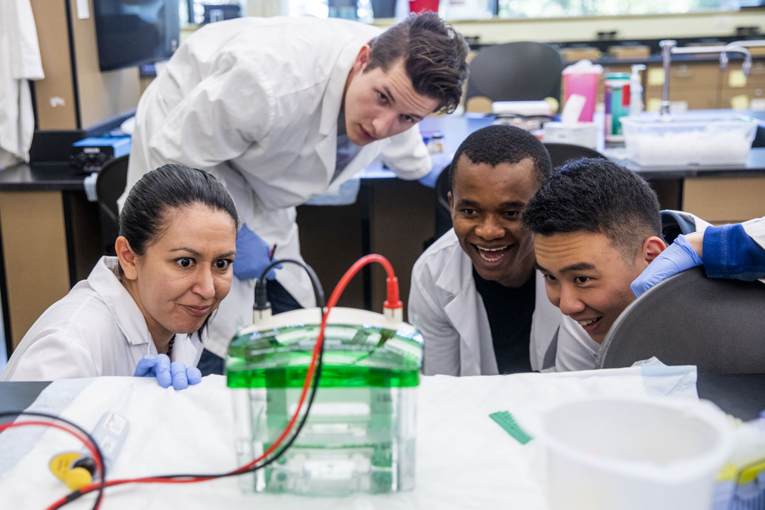 Associate Professor of Biology Tracie Delgado, Ph.D. does a demonstration for a group of students in her biochemistry lab.