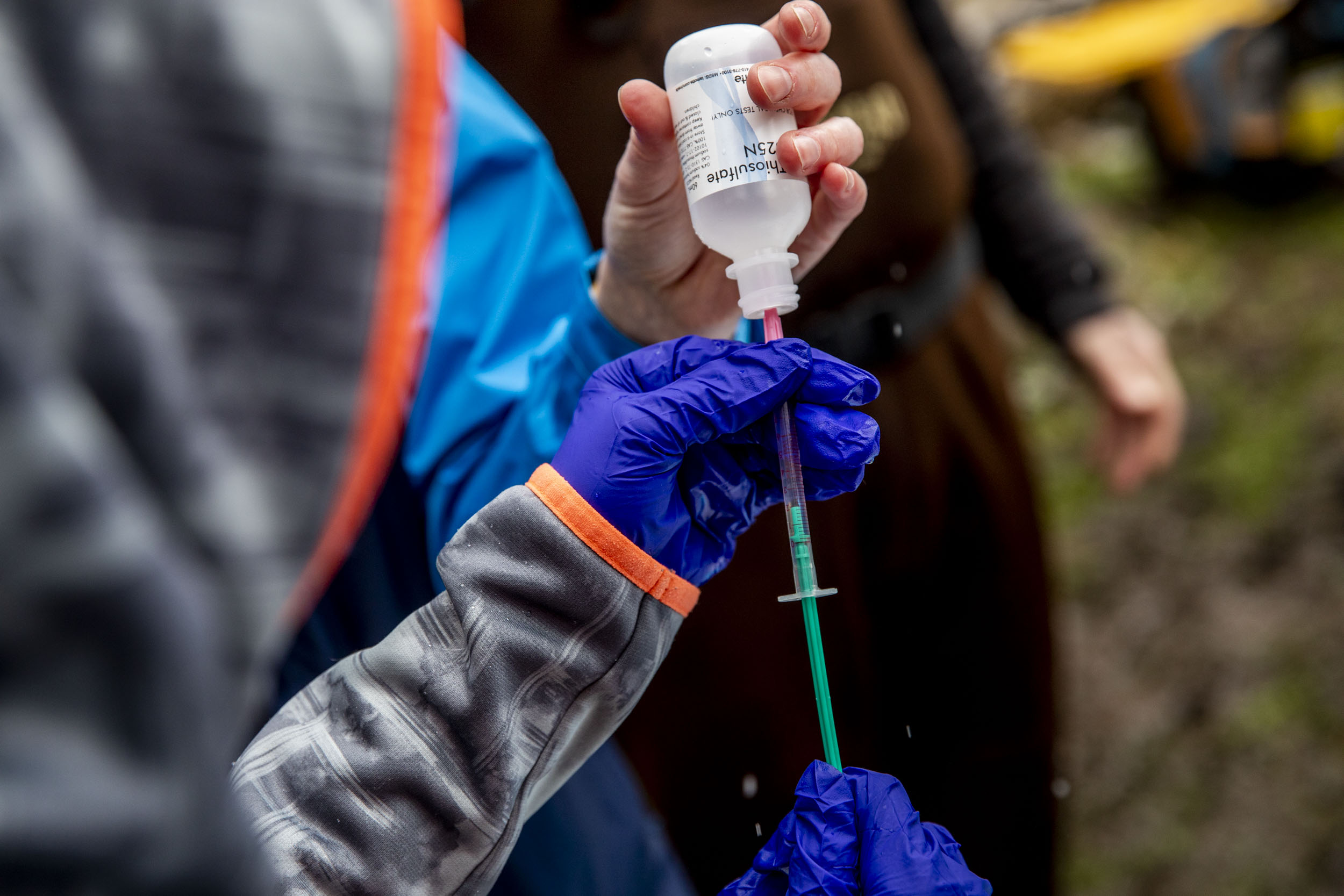 Members of Cougar Mountain Middle School's Science Squad test the water quality of Muck Creek.