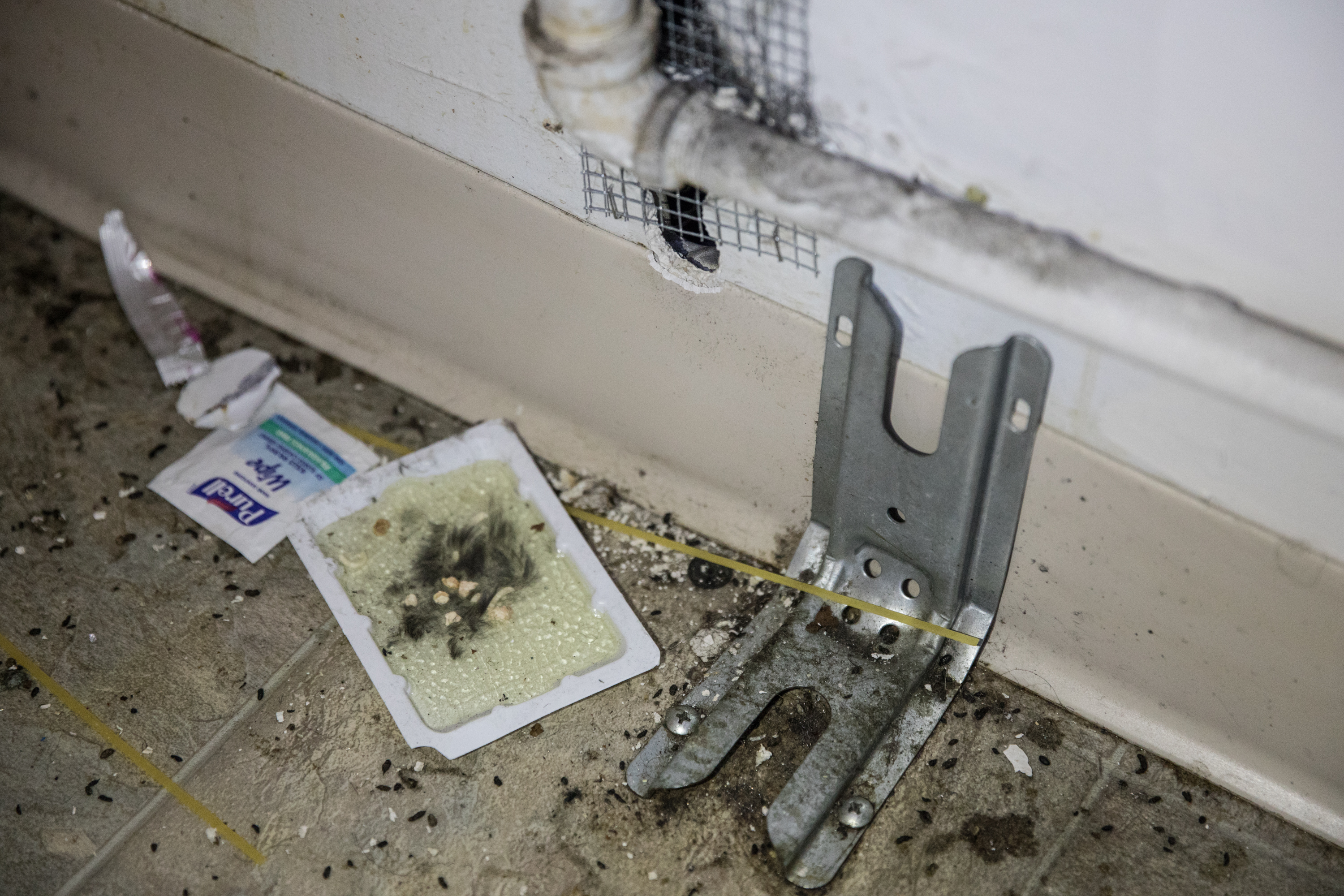 William Lawson pulls his stove away from the wall to reveal rodent feces inside his apartment at Capitol Hill Housing in Seattle, Aug. 13, 2018. (Matt M. McKnight/Crosscut)