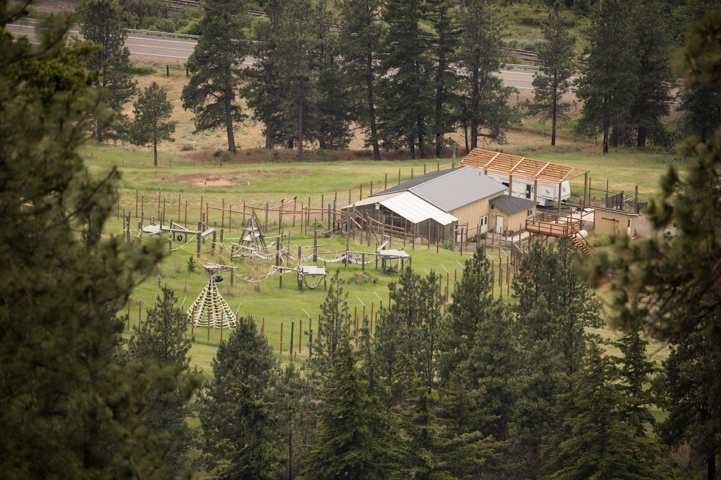 The Chimpanzee Sanctuary Northwest near Cle Elum, Washington, June 7, 2018.