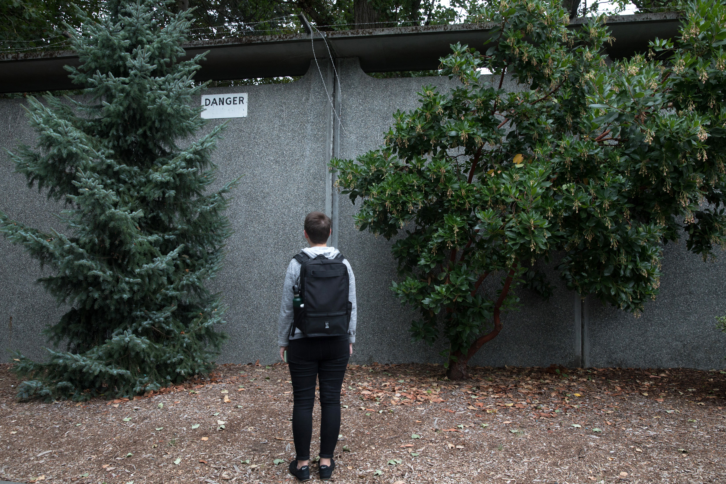 Seattle Walk Report with danger sign