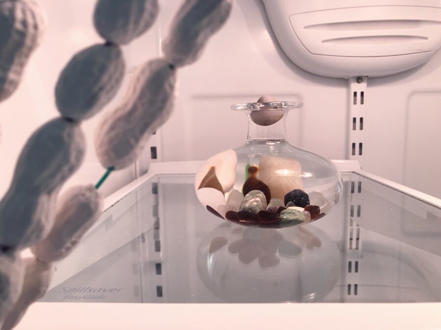 vase with rocks in a fridge