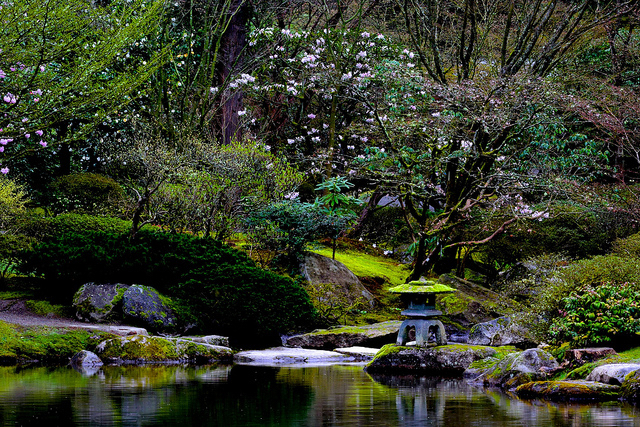 japanese garden