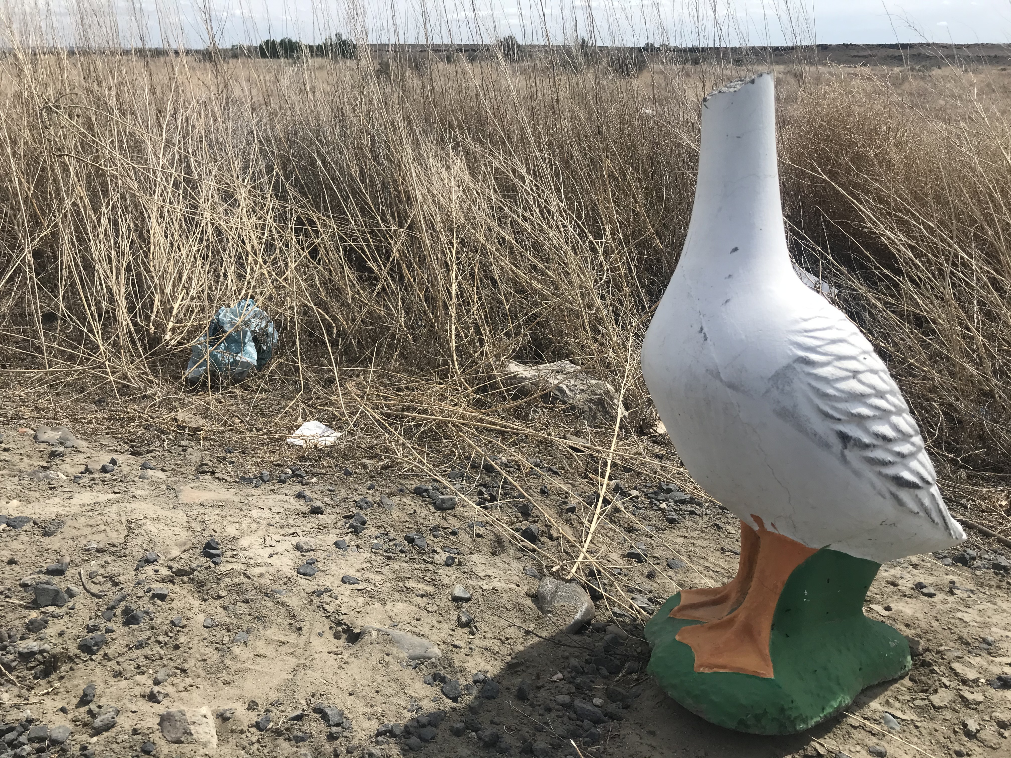 A headless goose lawn ornament