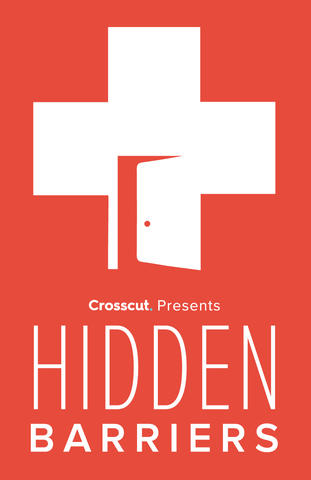 poster for hidden barriers