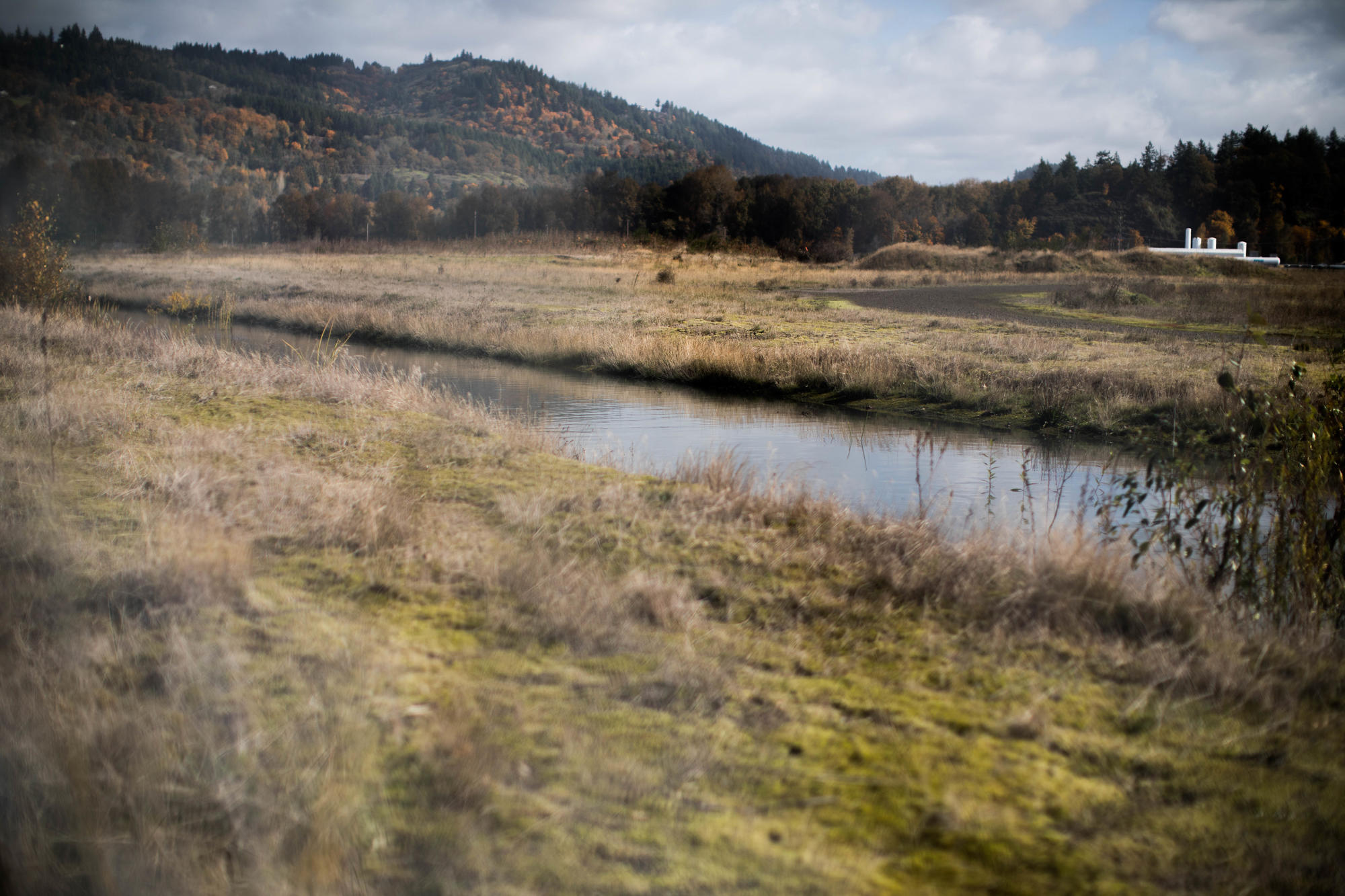 A plot of land with dry brush and a river