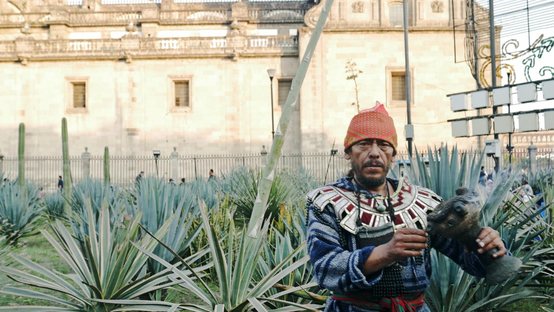 Shaman infront of aloe plants