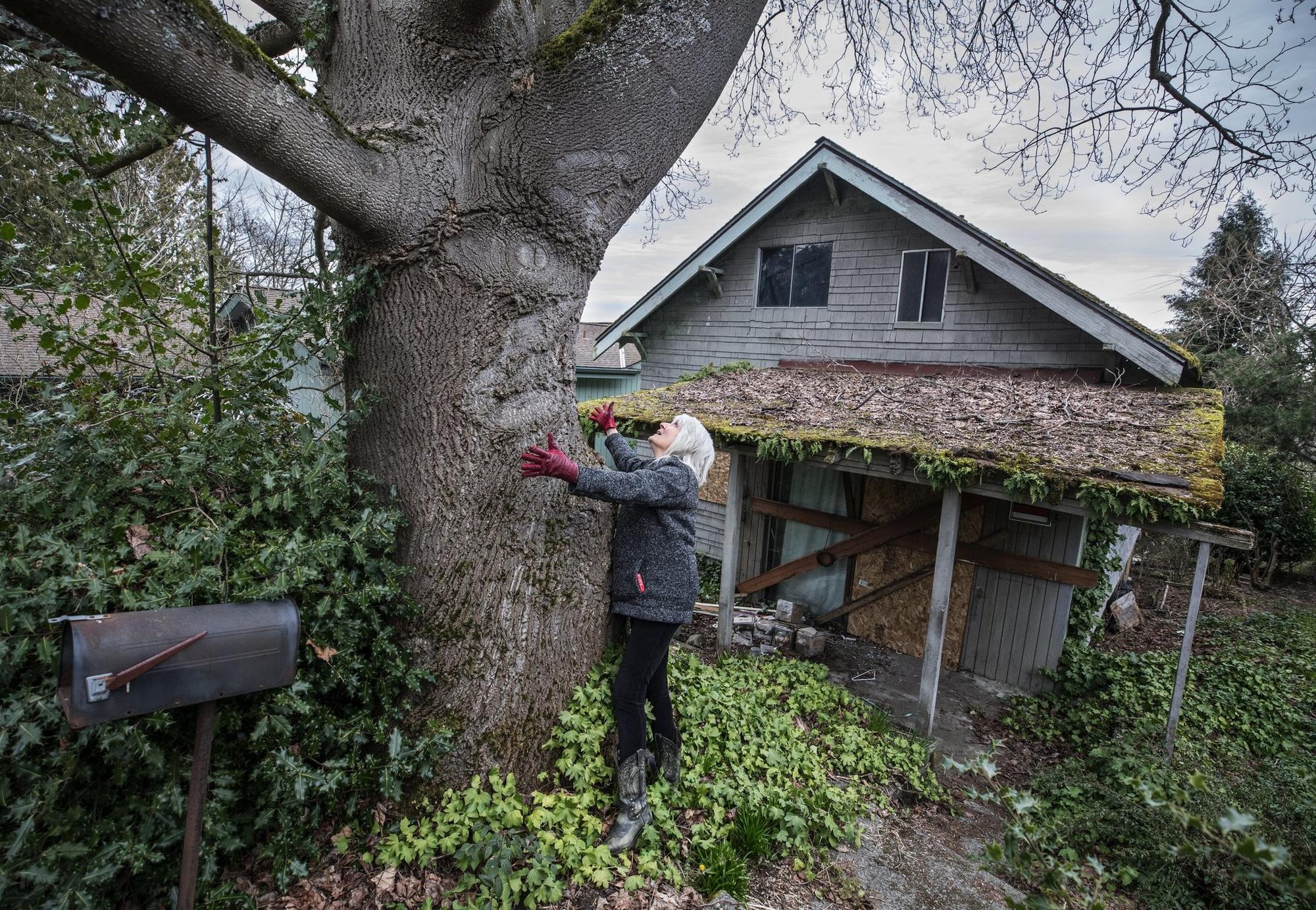 woman looking at a tree