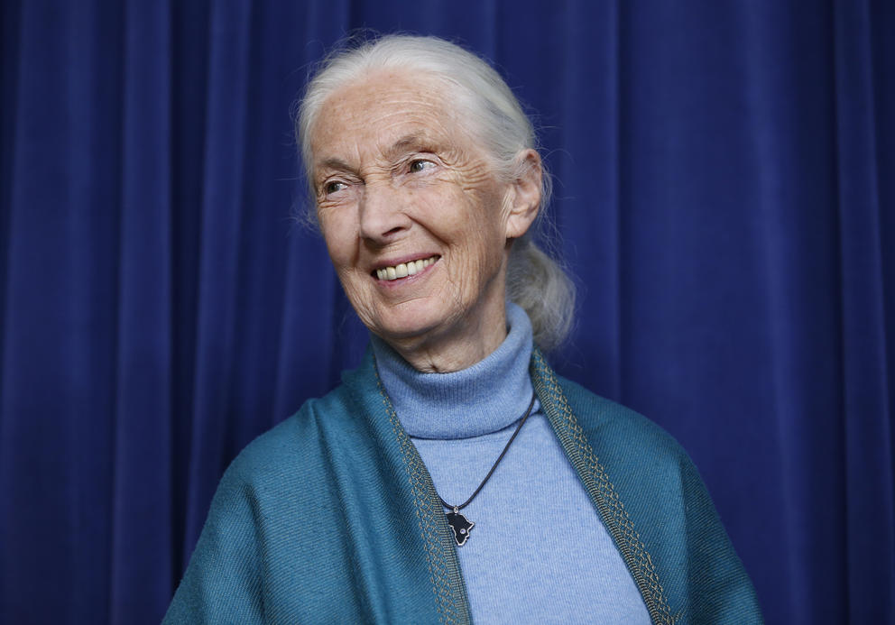 Jane Goodall