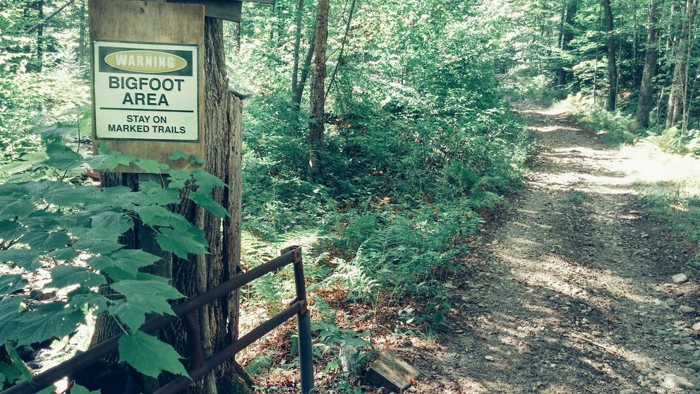 Forest trail with Bigfoot warning sign