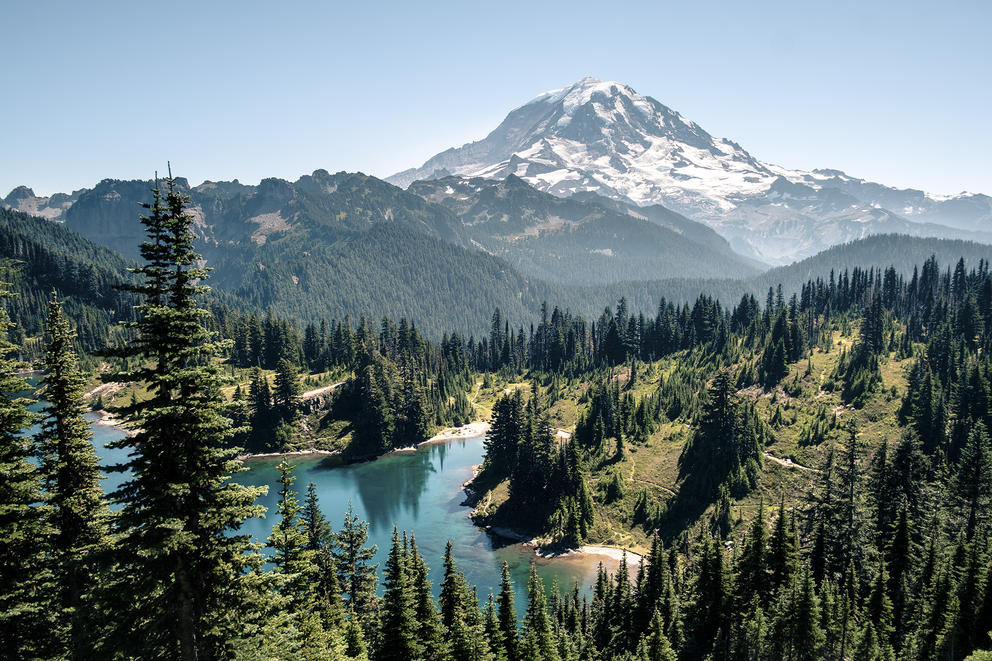 View of Mount Rainier