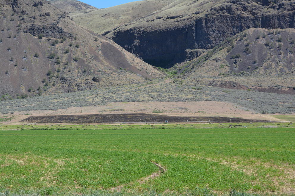 A section of burned brush in a field