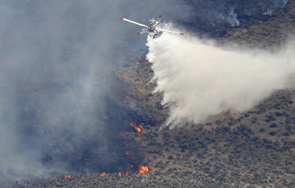 A plane releases water over a wildfire