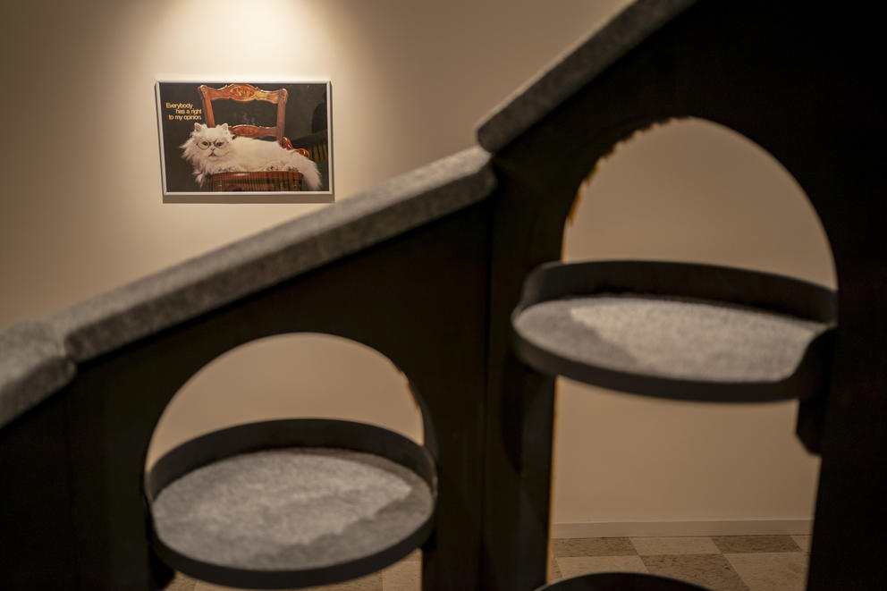 A photo of a cat wearing glasses on the wall, a cat tower sculpture is out of focus in the foreground 