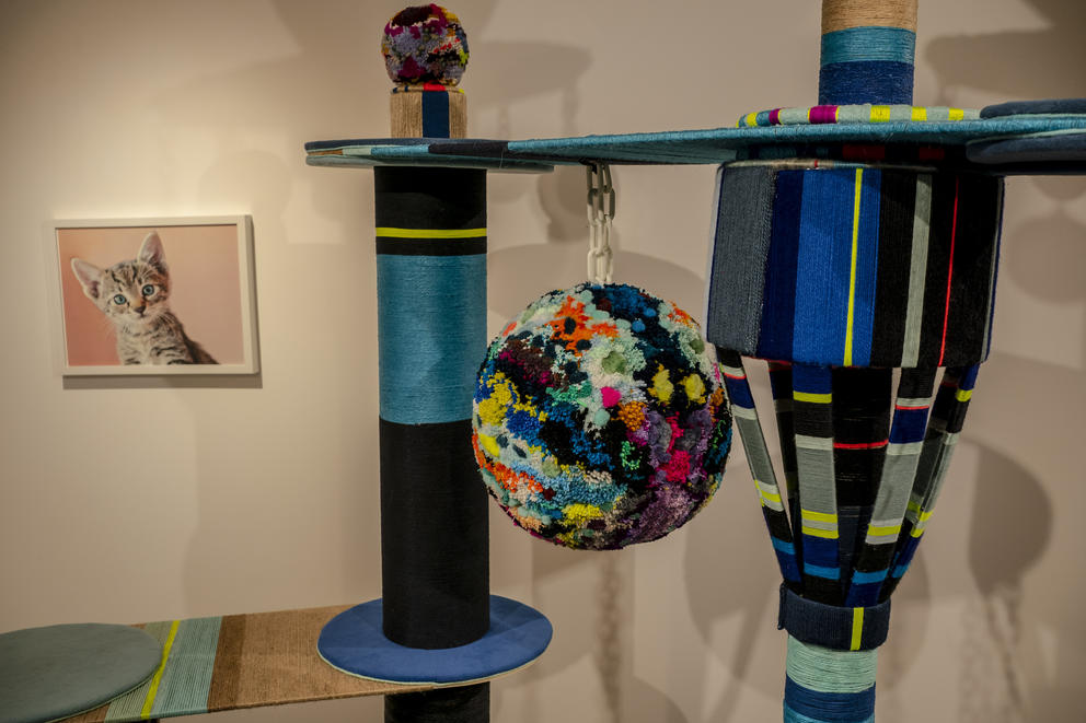 A framed photo of a kitten is on the wall behind a colorful cat tower sculpture made of yarn