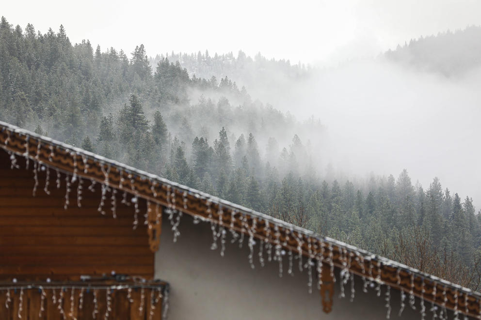 fog hangs on snow covered trees above a roof line