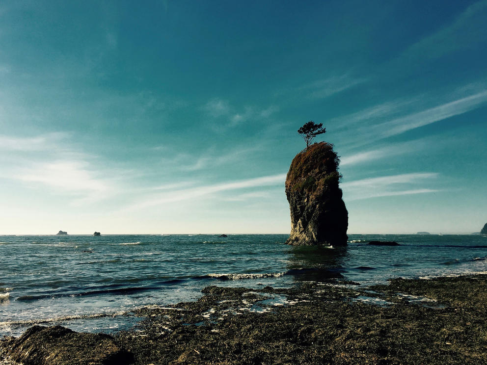 Olympic Coast Nationals Marine Sanctuary