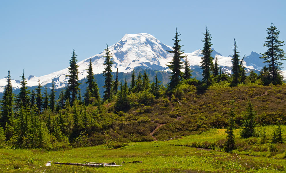 Mount Baker