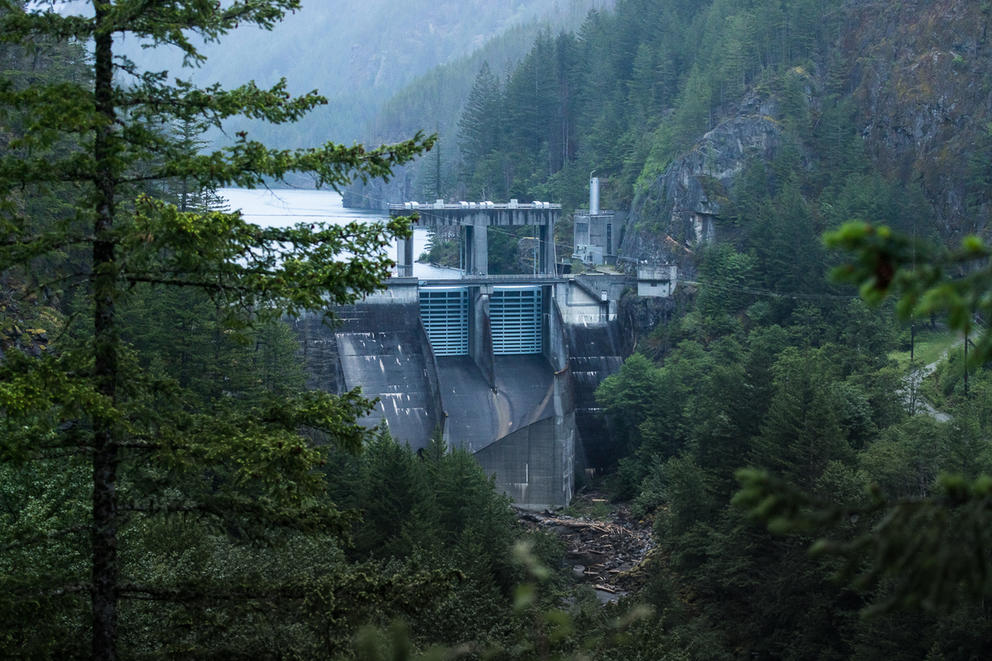 A dam in a wooded gorge