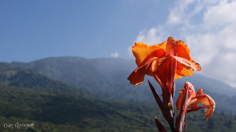 El Salvador