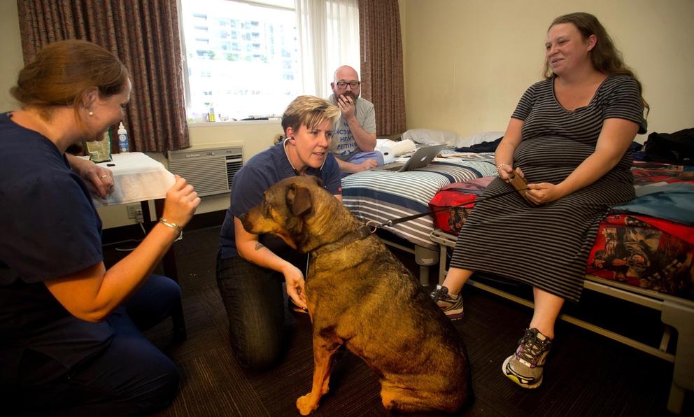 homeless dogs and cats living at Maryís Place new Guest Rooms