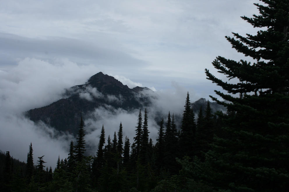 Olympic National Park