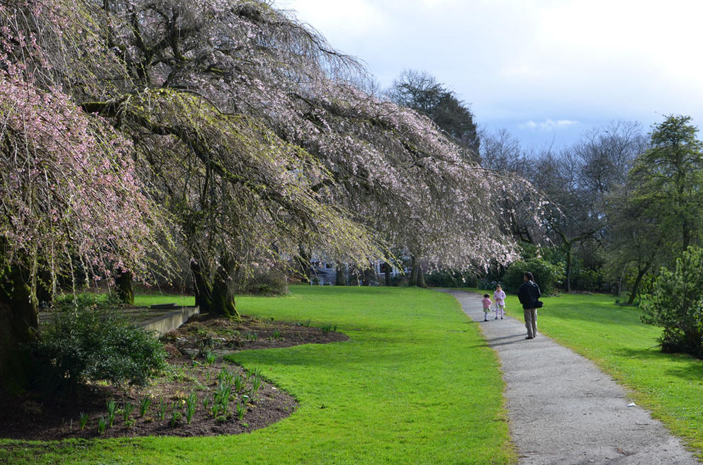 Volunteer Park