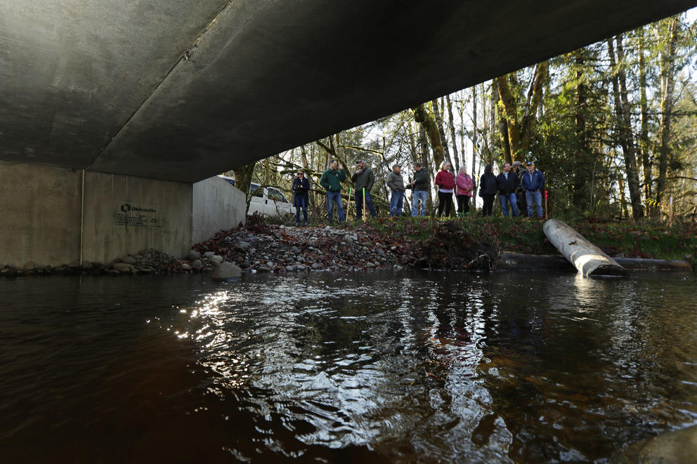 Observers look at a dam on the Newaukum River.