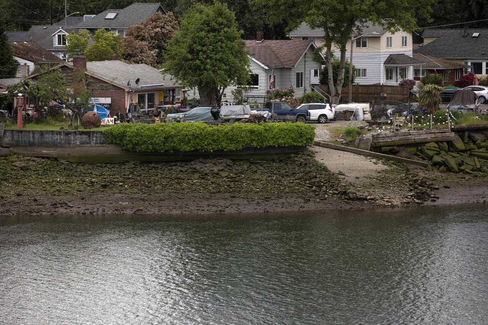 Several homes stand a short distance away from the banks of the Duwamish River