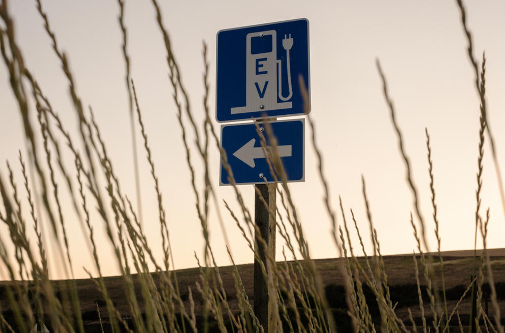 A blue service sign in a field of tall grass points toward an electric vehicle charging site.