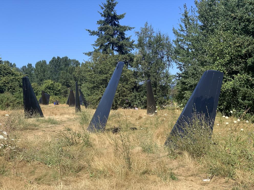 a grassy field dotted with large black metal fins