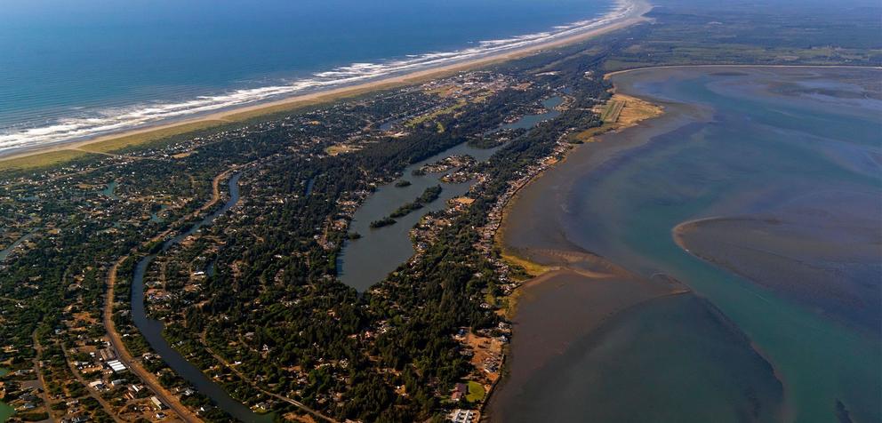 Aerial view of a beach