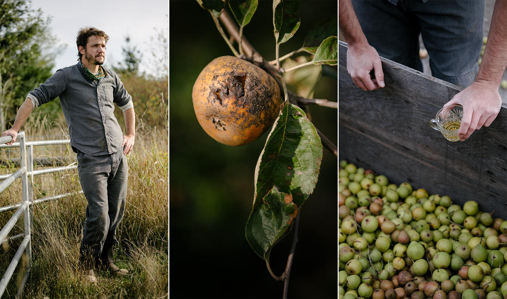 cider maker in washington 