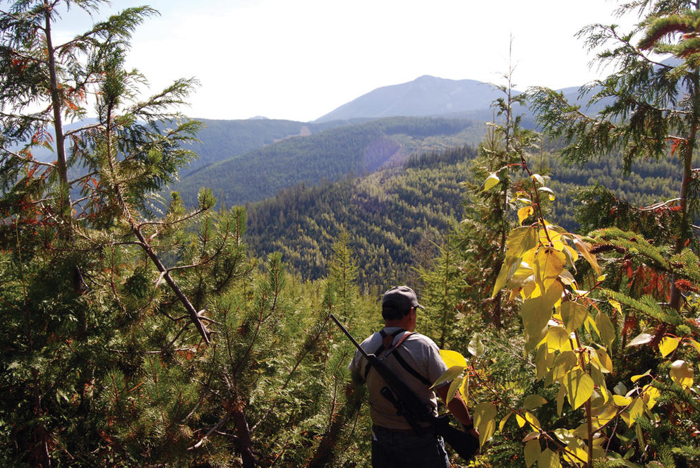 A man walks through the forest