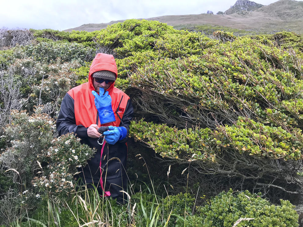 A man in a red raincoat stands near green bushes