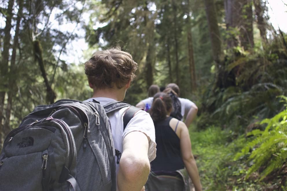 people hiking up a trail in a forested area