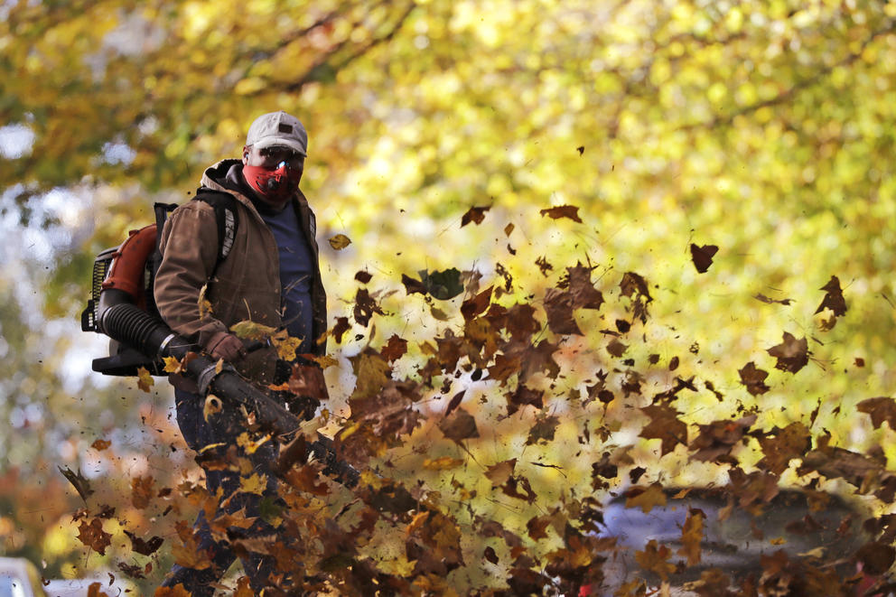 Leaf blower blowing leaves