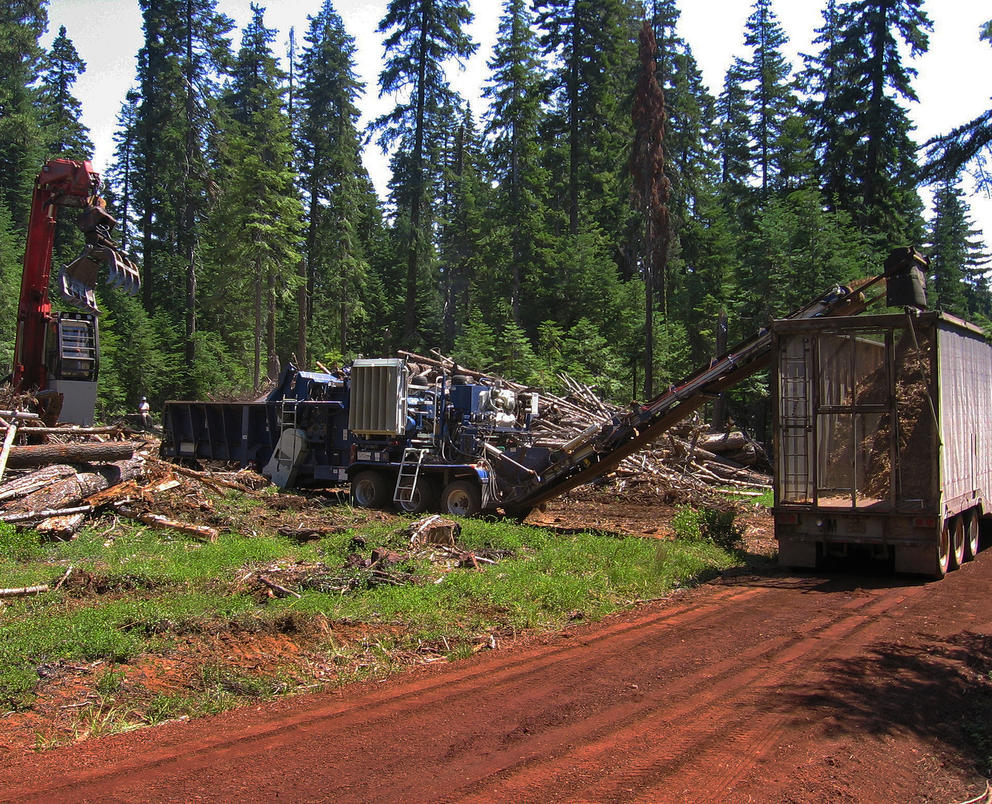 logging