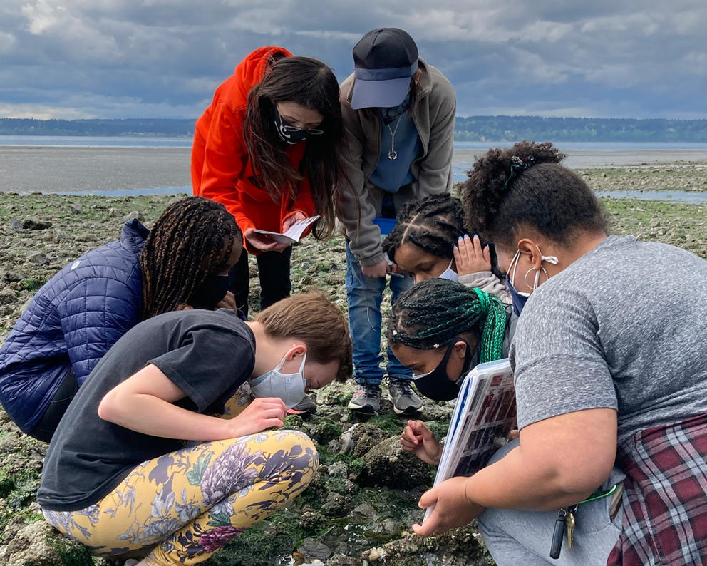 Six people gathered around a tide pool