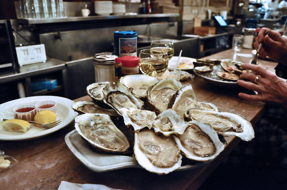 oysters