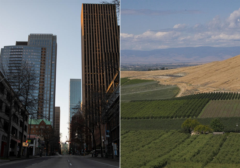 Split-screen with skyline and a landscape