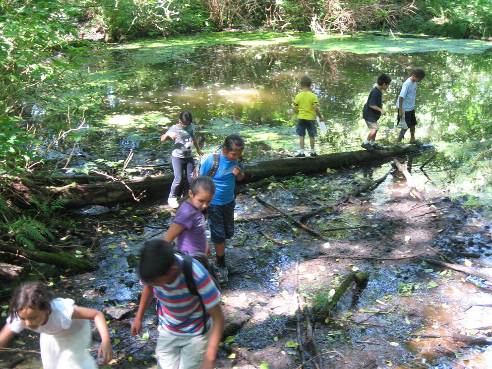 pond-day-multiple-kids