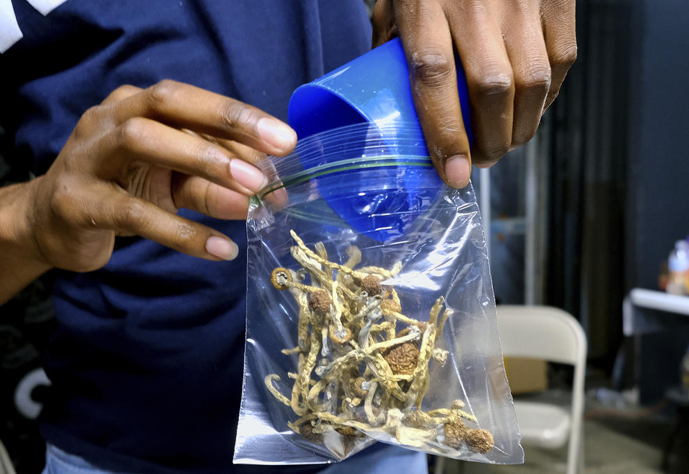 a bag of dried mushrooms