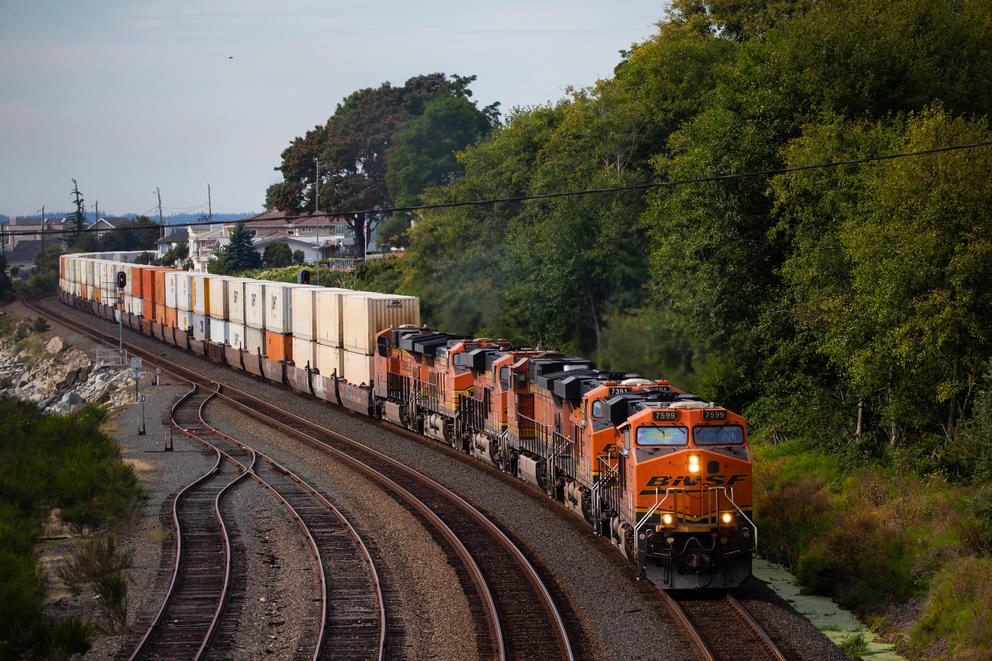 a long frieght train drives along the track next to forest on one side and beach on the other